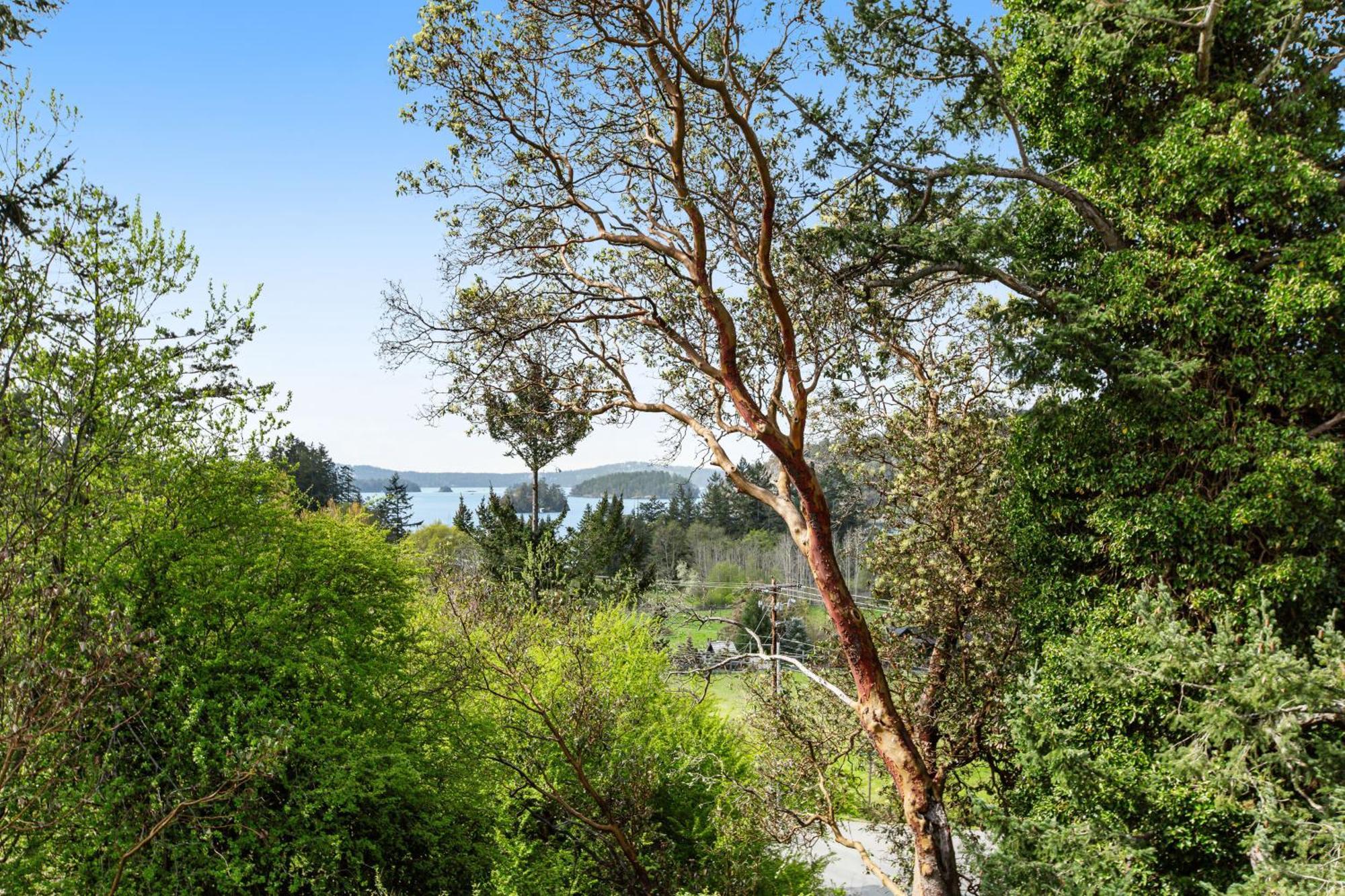 Deer Harbor Cottages Δωμάτιο φωτογραφία